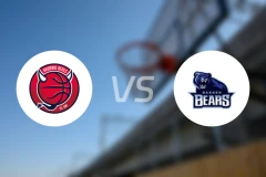 哈维德夫vs巴根熊比分预测【2025/11/23】