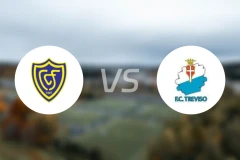 科内利亚诺vs特雷维索比分预测【2025/11/30】