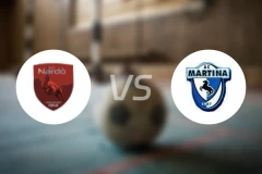 纳尔多vs马蒂纳比分预测【2026/01/11】