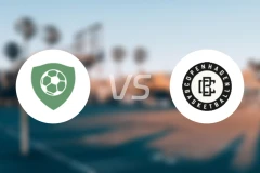 维耶vs哥本哈根比分预测【2025/11/23】