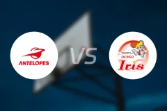 丰田羚羊女篮vs电装小仙女女篮比分预测【2025/11/29】