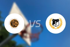 OSE狮队vs迪比辛尼比分预测【2026/02/08】