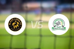 黑狮FCvs日历之星俱乐部比分预测【2026/04/25】