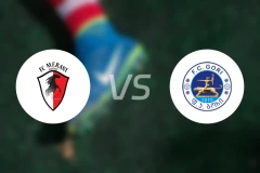 美拉尼vsFC哥里比分预测【2026/03/01】