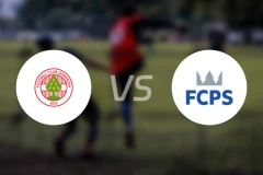 多恩比恩vs萨尔费尔登比分预测【2025/11/15】