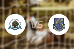 FC协会队vs阿尔马城比分预测【2025/11/01】