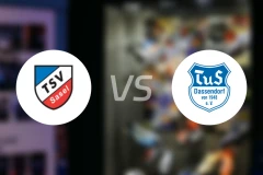 TSV沙塞尔vs达森多夫比分预测【2026/04/19】