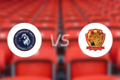 彭世洛联合vs清莱城FC比分预测【2024/10/13】