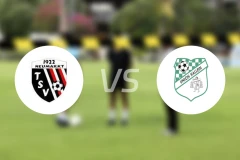 纽马克特vsOTSU哈莱恩比分预测【2024/09/07】