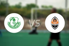 沙姆洛克vs顿涅茨克矿工比分预测【2025/11/28】