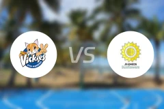 东京羽田酷猫女篮vs日本能源太阳花女篮比分预测【2026/01/31】