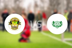 德扎迪纳摩vs元素比分预测【2025/11/30】