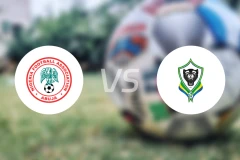 尼日利亚vs加蓬比分预测【2025/11/14】