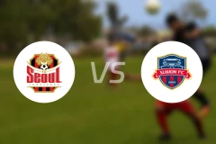 首尔FCvs水原FC比分预测【2024/09/29】