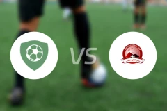 阿尔法杰尔vs海杜布比分预测【2026/01/12】