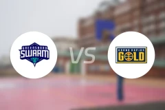 格林斯伯勒蜂群vs大急流城黄金比分预测【2026/01/04】