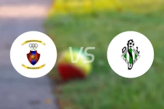 纳瓦罗vs尼能瑟比分预测【2026/03/22】