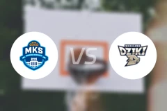 达布罗瓦戈尼vs华斯基比分预测【2026/03/14】