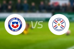 智利女足vs巴拉圭女足比分结果战报【2025/12/03】