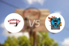 哈丁格vs韦特比分预测【2025/12/29】