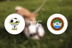 韦尔瓦罗vs阿尔巴明契比分预测【2026/02/01】