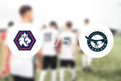 忠北清州vs城南FC比分预测【2024/08/12】