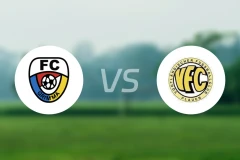 格里马vs普劳恩比分预测【2025/11/29】