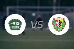 别尔斯科vs弗罗茨瓦夫B队比分预测【2025/11/22】