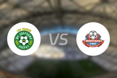 多布鲁察vsFC蒙塔纳比分预测【2026/02/21】