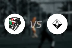 沃尔夫斯贝格vs阿尔塔奇比分预测【2026/03/22】