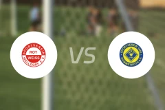 沃尔多夫vs亨默特罗斯比分预测【2025/11/16】