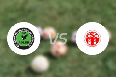 SV登豪斯vsCSC 03卡塞尔比分预测【2025/10/18】