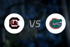 南卡罗莱纳大学vs佛罗里达大学比分预测【2026/02/18】