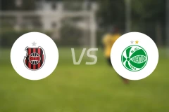 佩罗塔斯巴西vs尤文图德比分预测【2025/11/17】