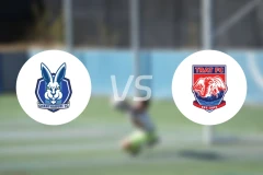 庄他武里vs达叻府比分预测【2026/01/17】