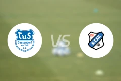 达森多夫vs奈德弗比分预测【2026/03/21】