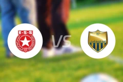 沙希尔vs奥姆兰比分预测【2026/01/17】