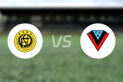 弗朗德里亚vs布朗安德奎比分预测【2026/02/15】