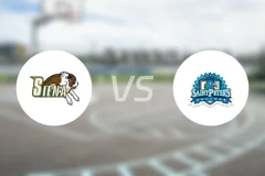 锡耶纳学院vs圣彼德斯大学比分预测【2026/02/08】