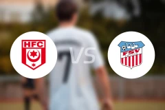 哈雷斯彻vs茨维考FC比分预测【2026/03/21】