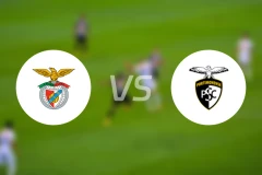 本菲卡U23vs波尔蒂芒人U23比分预测【2025/12/05】