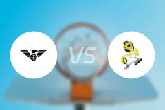 纽卡斯尔vs杜布拉瓦比分预测【2026/01/28】