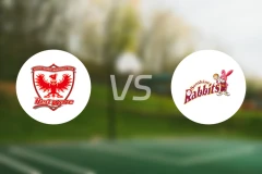 富士通红浪女篮vs丰田阳光女篮比分预测【2025/12/20】