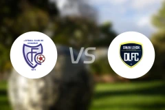 查鲁雷vs迪南勒洪比分预测【2026/02/15】