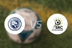 彼谢姆vs高马比分预测【2026/02/14】