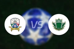 FC岐阜vs松本山雅比分预测【2024/08/31】