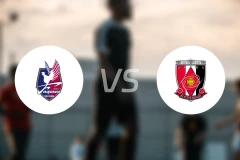 冈山绿雉vs浦和红钻比分预测【2025/11/30】