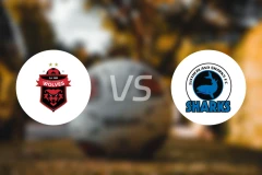 卧龙海岸狼队vs萨瑟兰鲨鱼比分预测【2026/04/19】