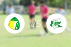 叶普索纳斯vs阿蒂埃努比分预测【2024/09/30】