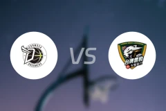 宝岛梦想家vs台啤永丰云豹比分预测【2026/01/18】